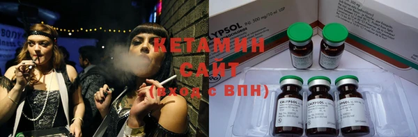 стаф Новодвинск