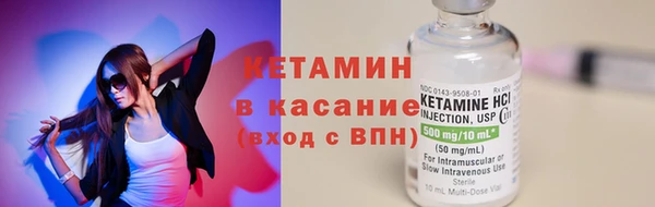 стаф Новодвинск