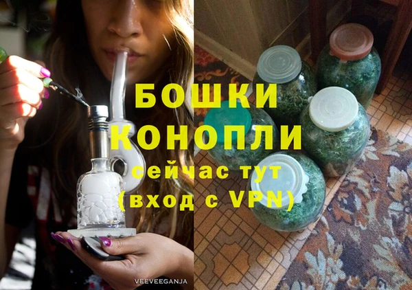 стаф Новодвинск