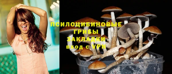 мдма Новозыбков