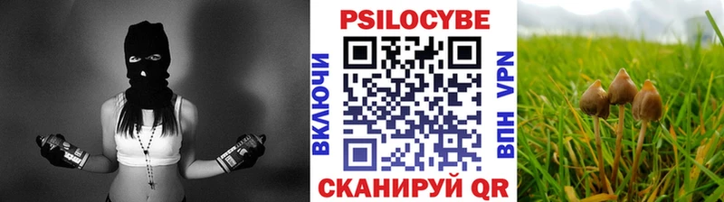 где купить наркоту  Абдулино  Псилоцибиновые грибы прущие грибы 